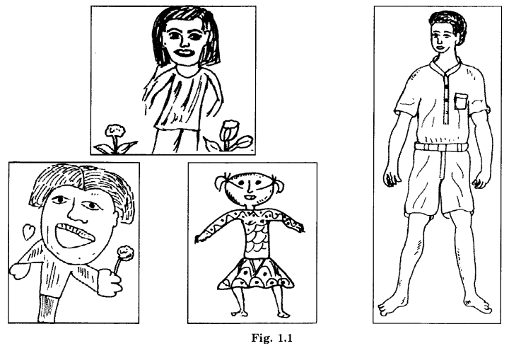NCERT Solutions for Class 6 Social Science Civics Chapter 1 Understanding Diversity image - 1