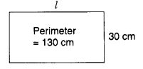 NCERT Solutions for Class 7 Maths Chapter 11 Perimeter and Area Ex 11.1 10