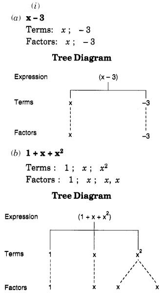 NCERT Solutions for Class 7 Maths Chapter 12 Algebraic Expressions Ex 12.1 1