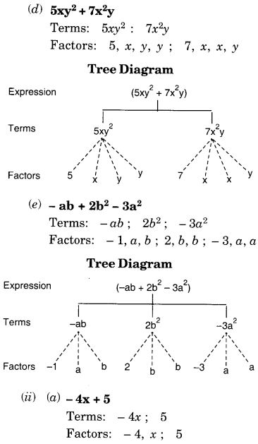 NCERT Solutions for Class 7 Maths Chapter 12 Algebraic Expressions Ex 12.1 3