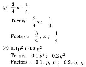 NCERT Solutions for Class 7 Maths Chapter 12 Algebraic Expressions Ex 12.1 5