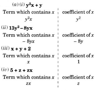 NCERT Solutions for Class 7 Maths Chapter 12 Algebraic Expressions Ex 12.1 8