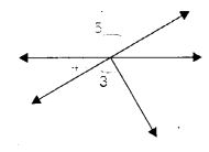 NCERT Solutions for Class 7 Maths Chapter 5 Lines and Angles Ex 5.1 5