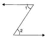 NCERT Solutions for Class 7 Maths Chapter 5 Lines and Angles Ex 5.1 6