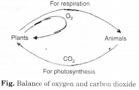 NCERT Solutions for Class 7 Science Chapter 17 Forests Our Lifeline Q.4