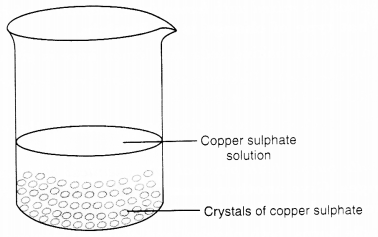 NCERT Solutions for Class 7 Science Chapter 6 Physical and Chemical Changes Q 8.