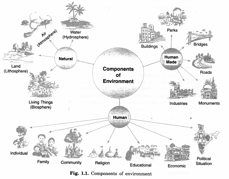 NCERT Solutions for Class 7 Social Science Geography Chapter 1 Environment 1