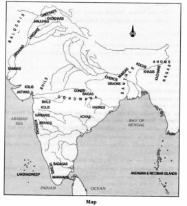 NCERT Solutions for Class 7 Social Science History Chapter 7 Tribes ...