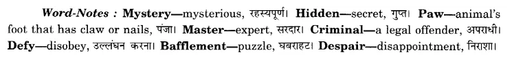 NCERT Solutions for Class 8 English Honeydew (Poem) Chapter 3 Macavity The Mystery Cat 1