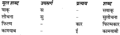 NCERT Solutions for Class 8 Hindi Vasant Chapter 11 2