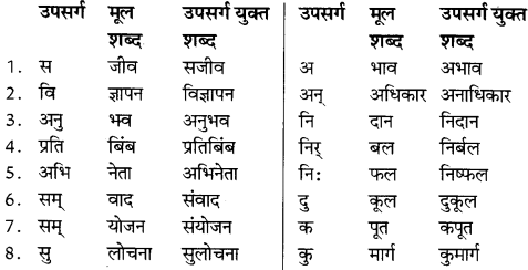 NCERT Solutions for Class 8 Hindi Vasant Chapter 11 3