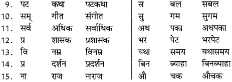 NCERT Solutions for Class 8 Hindi Vasant Chapter 11 4