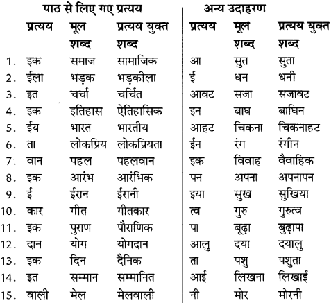 NCERT Solutions for Class 8 Hindi Vasant Chapter 11 5