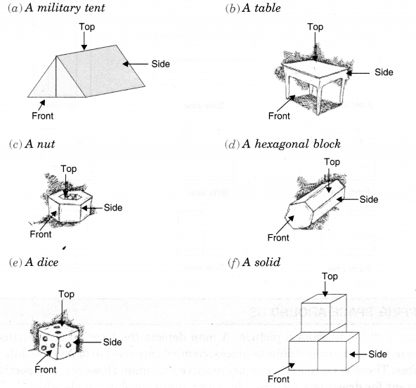 NCERT Solutions for Class 8 Maths Chapter 10 Visualising Solid Shapes Ex 10.1 7