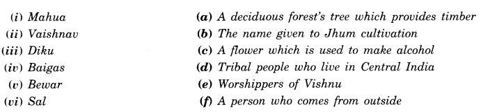 NCERT Solutions for Class 8 Social Science History Chapter 4 Tribals, Dikus and the Vision of a Golden Age 3