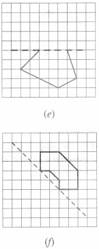 NCERT Solutions for Class 6 Maths Chapter 13 Symmetry 10