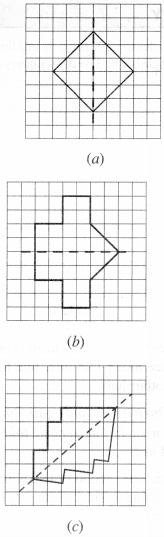 NCERT Solutions for Class 6 Maths Chapter 13 Symmetry 11