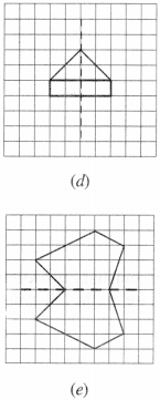 NCERT Solutions for Class 6 Maths Chapter 13 Symmetry 12
