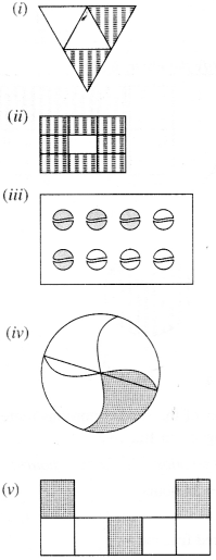 NCERT Solutions for Class 6 Maths Chapter 7 Fractions 1