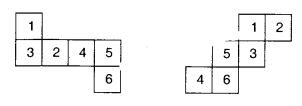 NCERT Solutions for Class 7 Maths Chapter 15 Visualising Solid Shapes 2