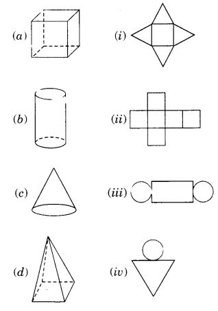 NCERT Solutions for Class 7 Maths Chapter 15 Visualising Solid Shapes 7