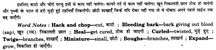 NCERT Solutions for Class 9 English Beehive Poem Chapter 8 On Killing a Tree 2