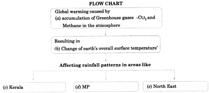 NCERT Solutions for Class 9 English Main Course Book Unit 3 Environment Chapter 1 Save Mother Earth 6