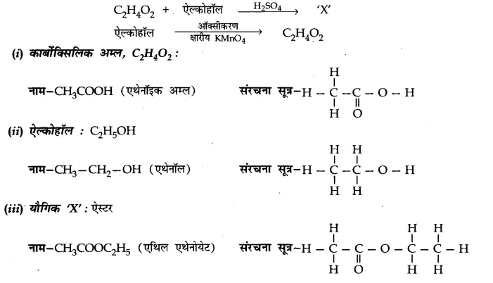 CBSE Sample Papers for Class 10 Science in Hindi Medium Paper 2 a11.1