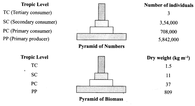 CBSE Sample Papers for Class 12 Biology Paper 3.10