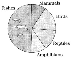 CBSE Sample Papers for Class 12 Biology Paper 5.3