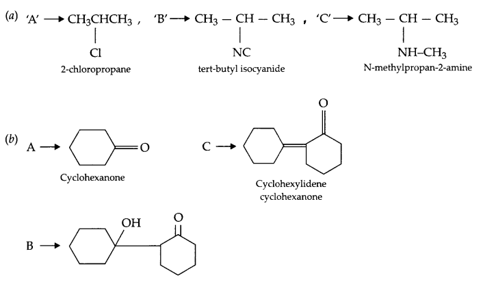 CBSE Sample Papers for Class 12 Chemistry Paper 1 Q.21.2