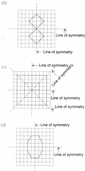 NCERT Solutions for Class 6 Maths Chapter 13 Symmetry 34