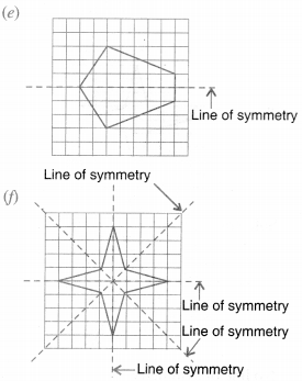 NCERT Solutions for Class 6 Maths Chapter 13 Symmetry 35