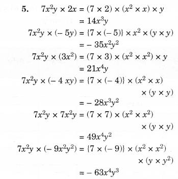NCERT Solutions for Class 8 Maths Chapter 9 Algebraic Expressions and Identities Ex 9.2 3456