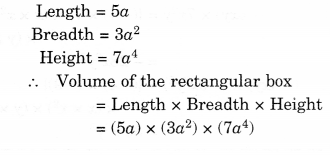 NCERT Solutions for Class 8 Maths Chapter 9 Algebraic Expressions and Identities Ex 9.2 6