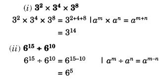 NCERT Solutions for Class 7 Maths Chapter 13 Exponents and Powers 19