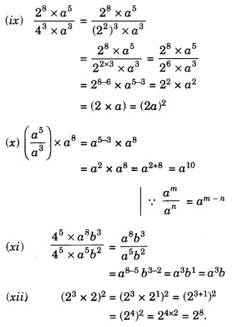NCERT Solutions for Class 7 Maths Chapter 13 Exponents and Powers 25
