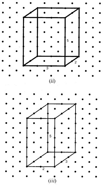 NCERT Solutions for Class 7 Maths Chapter 15 Visualising Solid Shapes 13