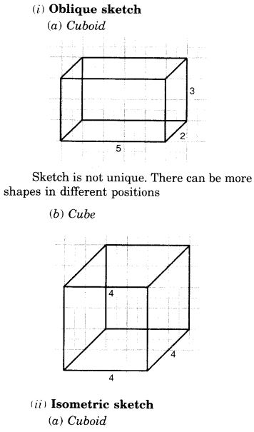 NCERT Solutions for Class 7 Maths Chapter 15 Visualising Solid Shapes 17