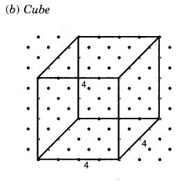 NCERT Solutions for Class 7 Maths Chapter 15 Visualising Solid Shapes 19