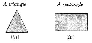 NCERT Solutions for Class 7 Maths Chapter 15 Visualising Solid Shapes 23