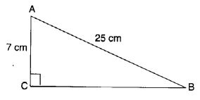 NCERT Solutions for Class 7 Maths Chapter 6 The Triangle and its Properties Ex 6.5 2