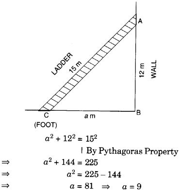 NCERT Solutions for Class 7 Maths Chapter 6 The Triangle and its Properties Ex 6.5 4