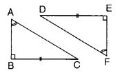 NCERT Solutions for Class 7 Maths Chapter 7 Congruence of Triangles Ex 7.2 19