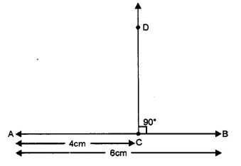RS Aggarwal Class 6 Solutions Chapter 13 Angles and Their Measurement Ex 13C Q4.1