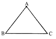 RS Aggarwal Class 6 Solutions Chapter 16 Triangles Ex 16A Q1.1