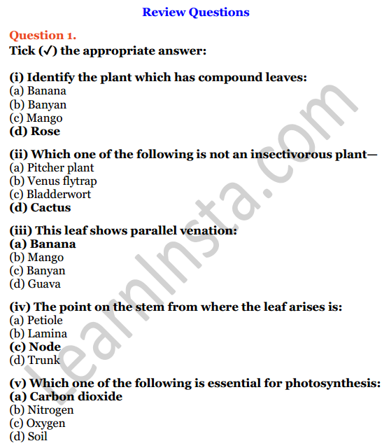Selina Concise Biology Class 6 ICSE Solutions Chapter 1 The Leaf 1