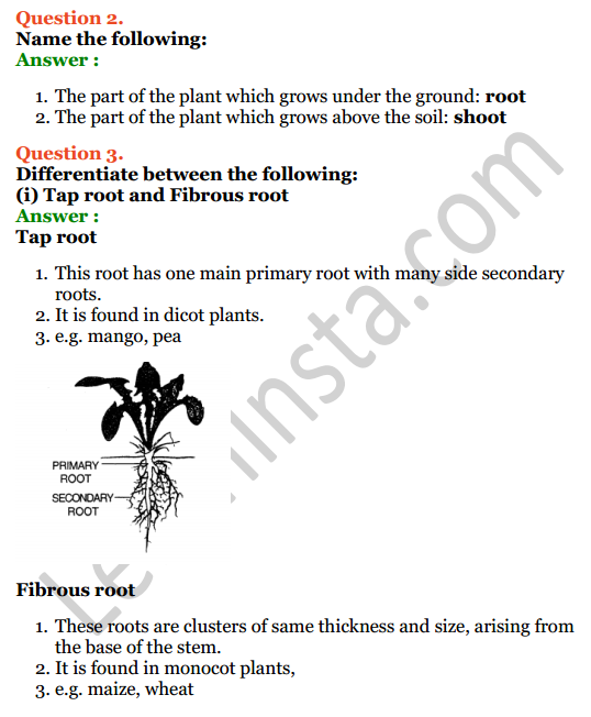 Selina Concise Biology Class 6 ICSE Solutions Chapter 1 The Leaf 2