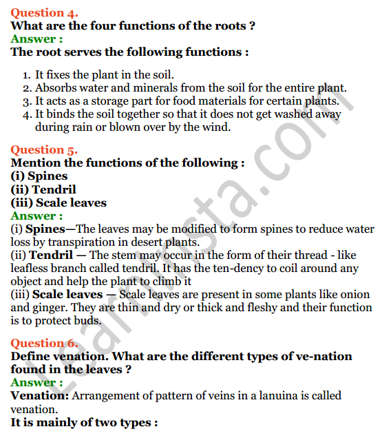 Selina Concise Biology Class 6 ICSE Solutions Chapter 1 The Leaf 4