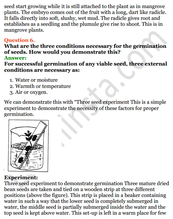 Selina Concise Biology Class 6 ICSE Solutions Chapter 2 The Flower 12
